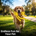 Durable Squeaky Monkey Dog Toy – Premium Latex Rubber Chew Toy for Puppies & Aggressive Chewers | Fun Interactive Pet Play Toy